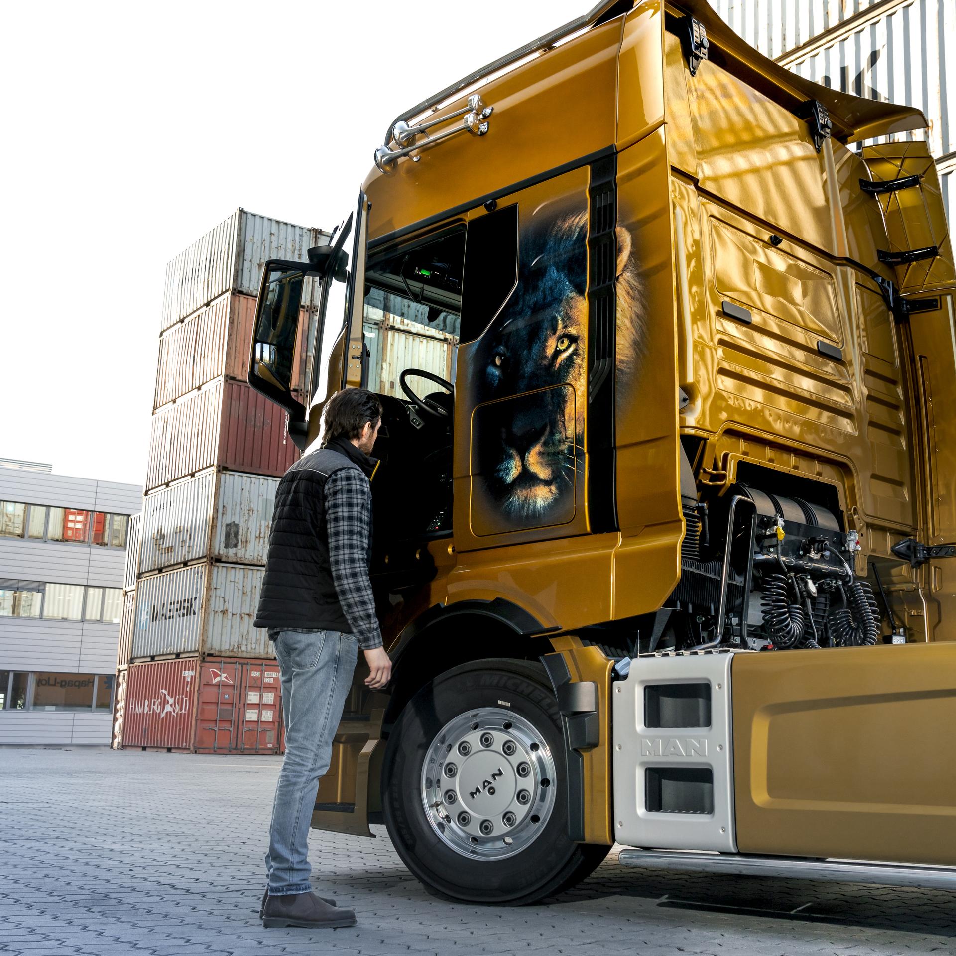 Decorfolie Lion Face TGX