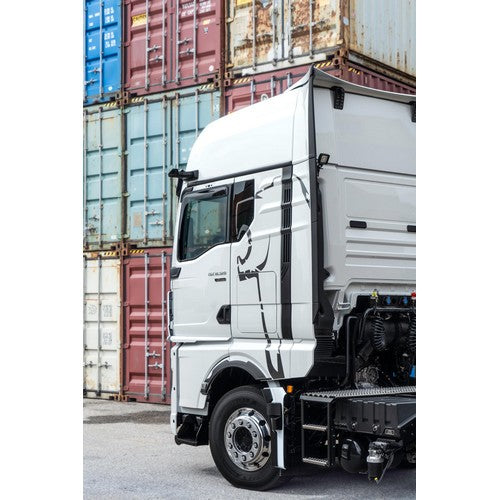Decorfolie 'Lion Outline' TGX