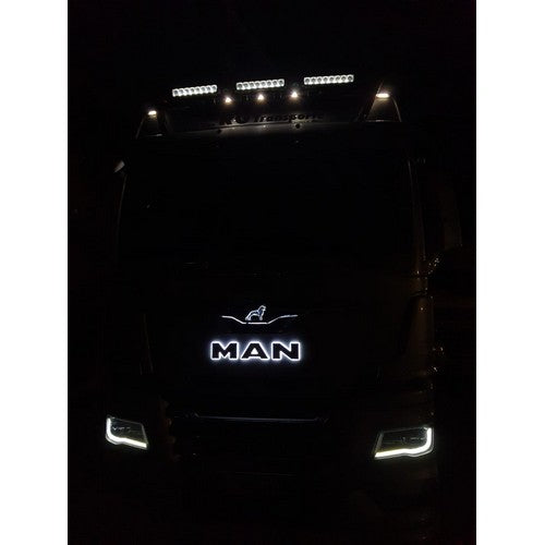 MAN LED letters en Leeuw TG3